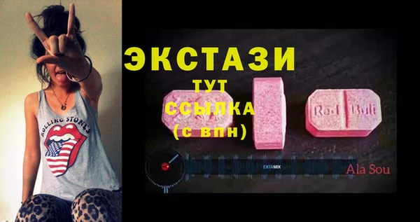 стаф Аркадак
