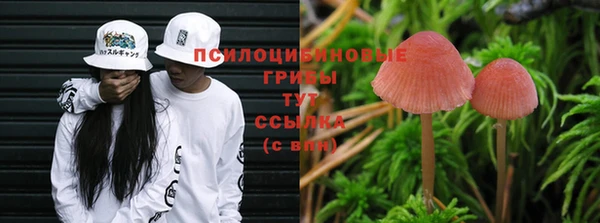 дживик Армянск