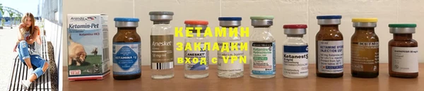стаф Аркадак