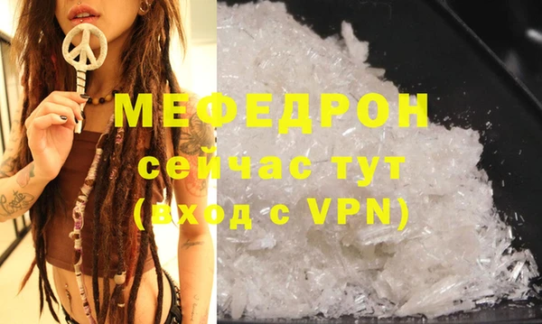 стаф Аркадак