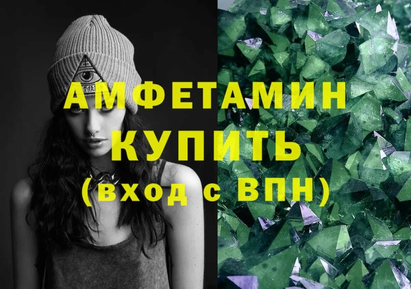 стаф Аркадак