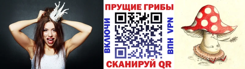 Псилоцибиновые грибы мухоморы  Нязепетровск 